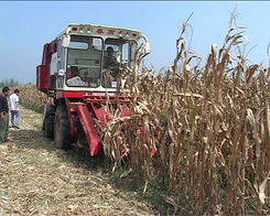 正陽縣農業基礎設施日臻完善，農業企業托管服務助推鄉村振興