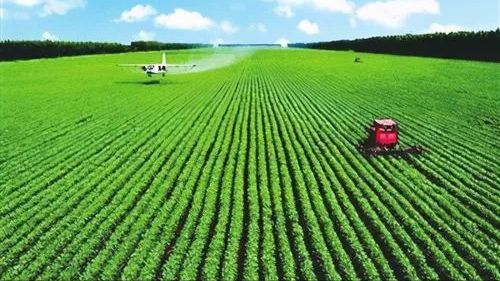 減少1300萬(wàn)人，東北農(nóng)業(yè)逆襲新路徑 企業(yè)托管服務(wù)重塑黑土地