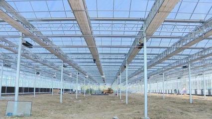 濰城 強(qiáng)化服務(wù)保障，農(nóng)業(yè)企業(yè)托管服務(wù)推動(dòng)重點(diǎn)項(xiàng)目建設(shè)再提速